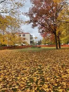 Uroczystość Wszystkich Świętych