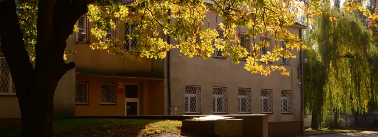 widok od frontu na budynek szkoły podstawowej 167 jesienią w słoneczny dzień. Na pierwszym planie u góry gałęzie drzew z żółtymi liśćmi, w tle przód budynku. 